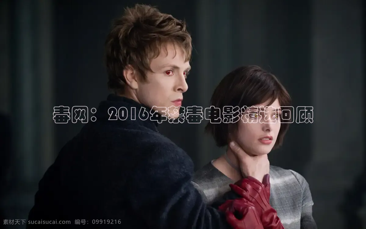 51视频在线观看
